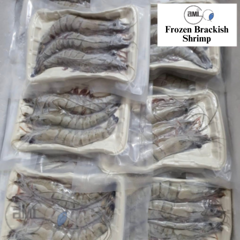 Frozen Brackish Shrimp
