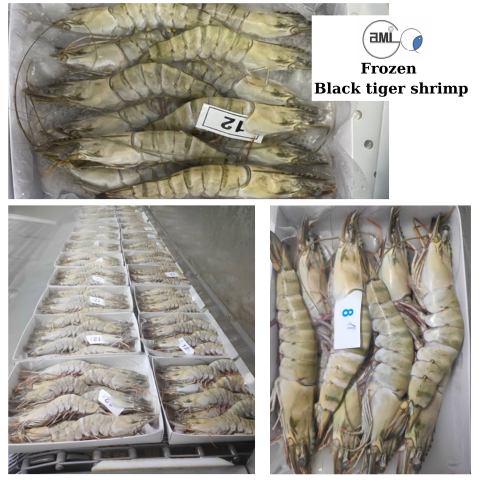 Frozen Black Tiger Shrimp