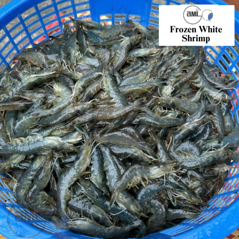 Frozen White Shrimp