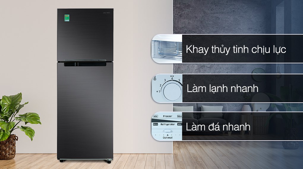 Tủ lạnh Samsung Inverter 302 Lít RT29K503JB1/SV