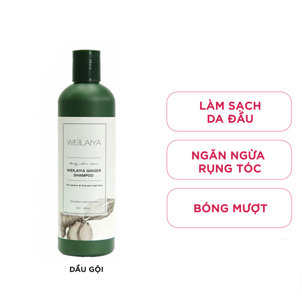 Weilaiya Dầu gội Ginger Shampoo