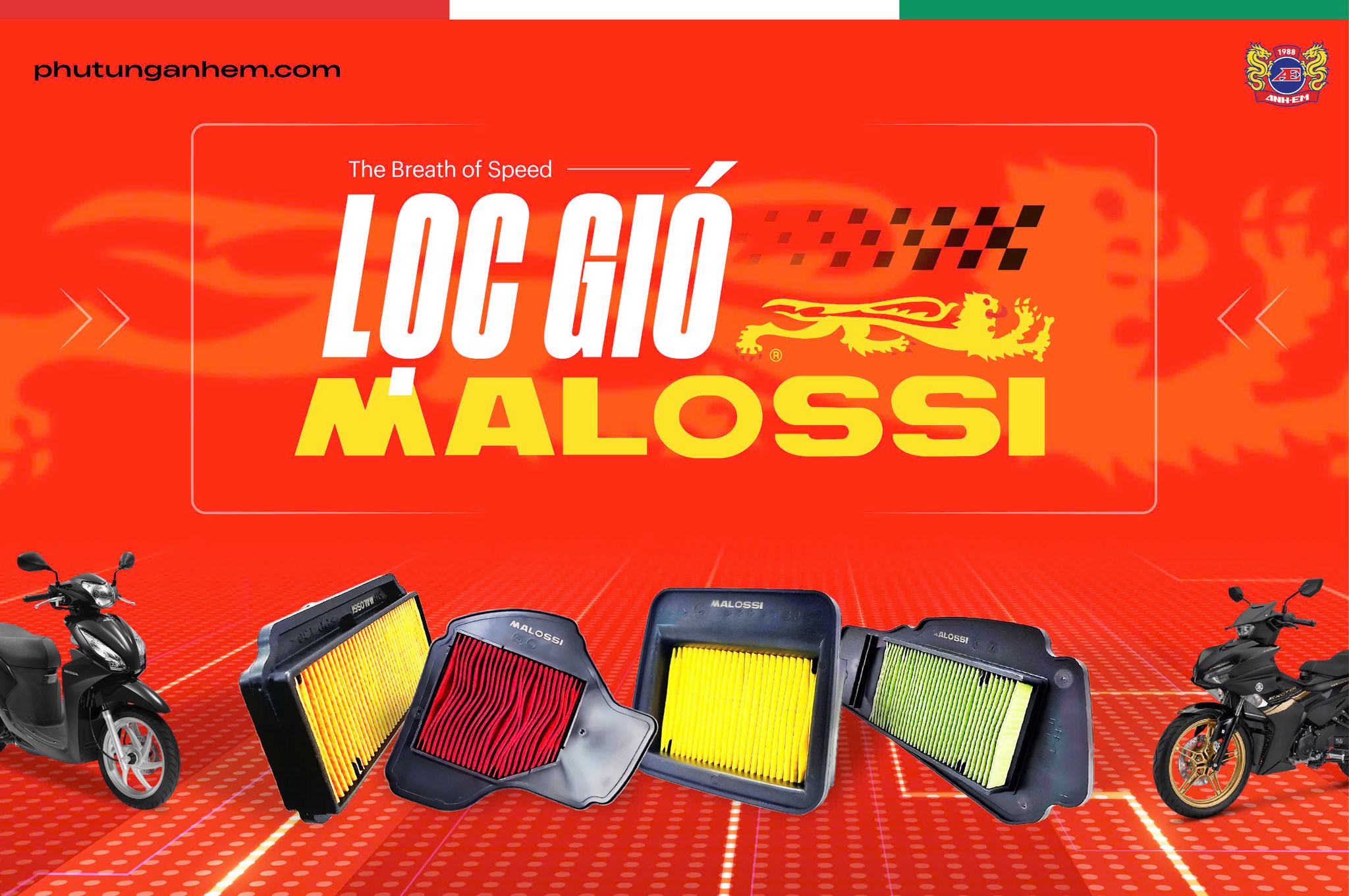 Lọc Gió Malossi Hỗ Trợ Dòng Xe Honda Nào? Bảng Tra Cứu Hiệu Suất & Tương Thích Chuẩn Xác