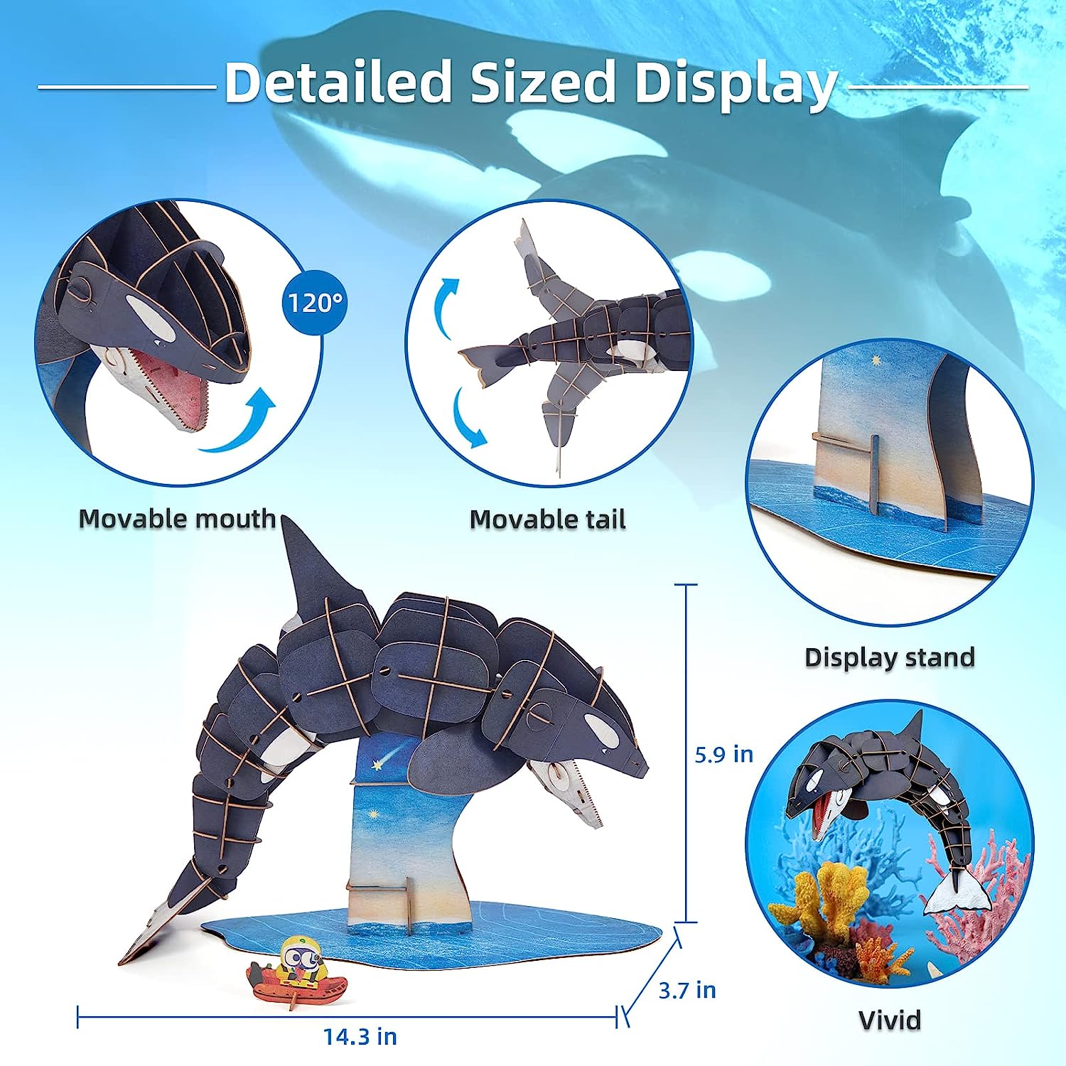 Bộ xếp mô hình 3D cử động được_Cá voi sát thủ