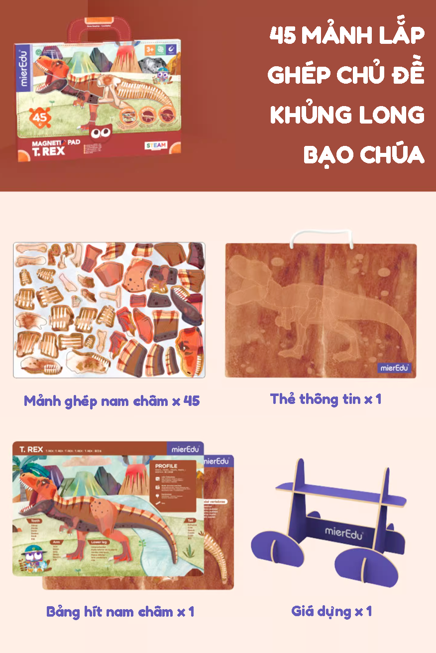 Bảng xếp hình nam châm _ Khủng long bạo chúa Trex