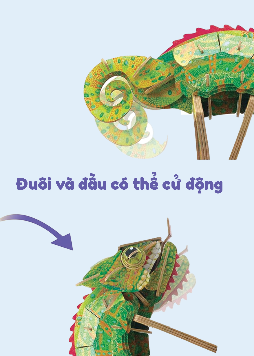 Bộ Xếp Hình 3D Mini – Tắc kè hoa