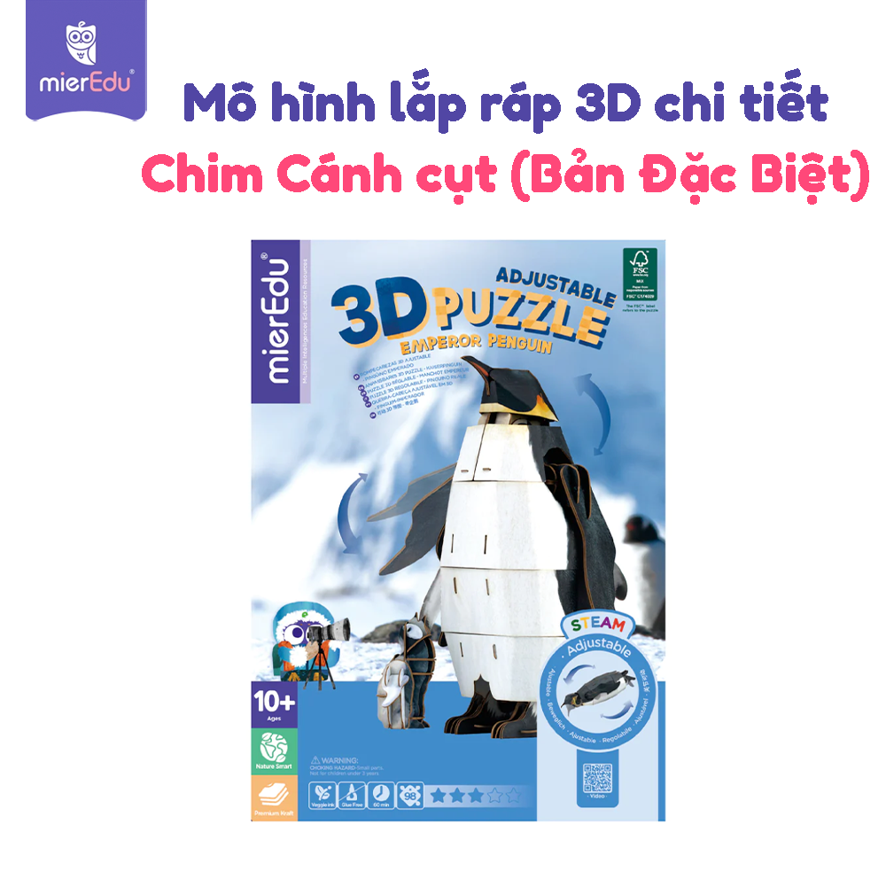Bộ lắp ghép 3D chi tiết mierEdu - Phiên bản đặc biệt