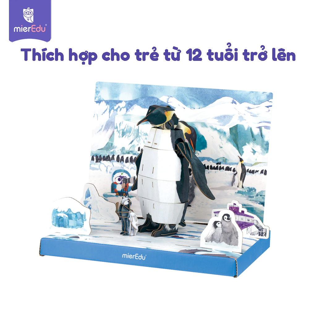Hộp Xếp Mô Hình 3D_Chim Cánh Cụt
