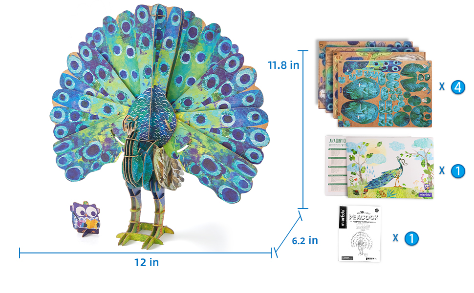 Bộ xếp mô hình 3D cử động được_Chim công