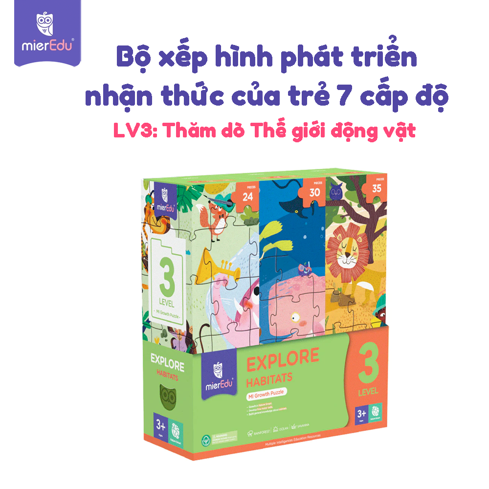 Bộ đồ chơi xếp hình 7 cấp độ mierEdu