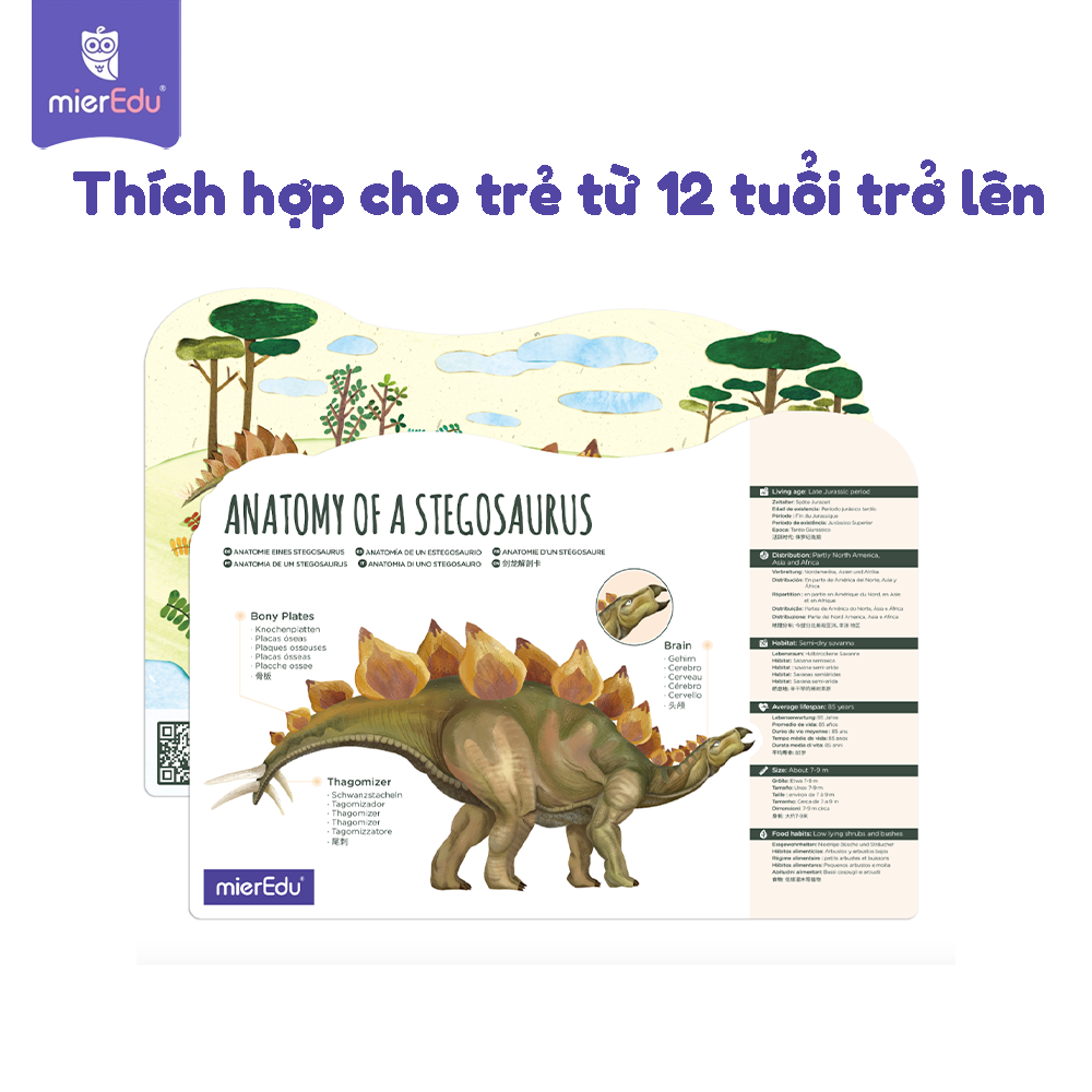 Bộ lắp ráp mô hình 3D chi tiết mierEdu - Thế giới khủng long