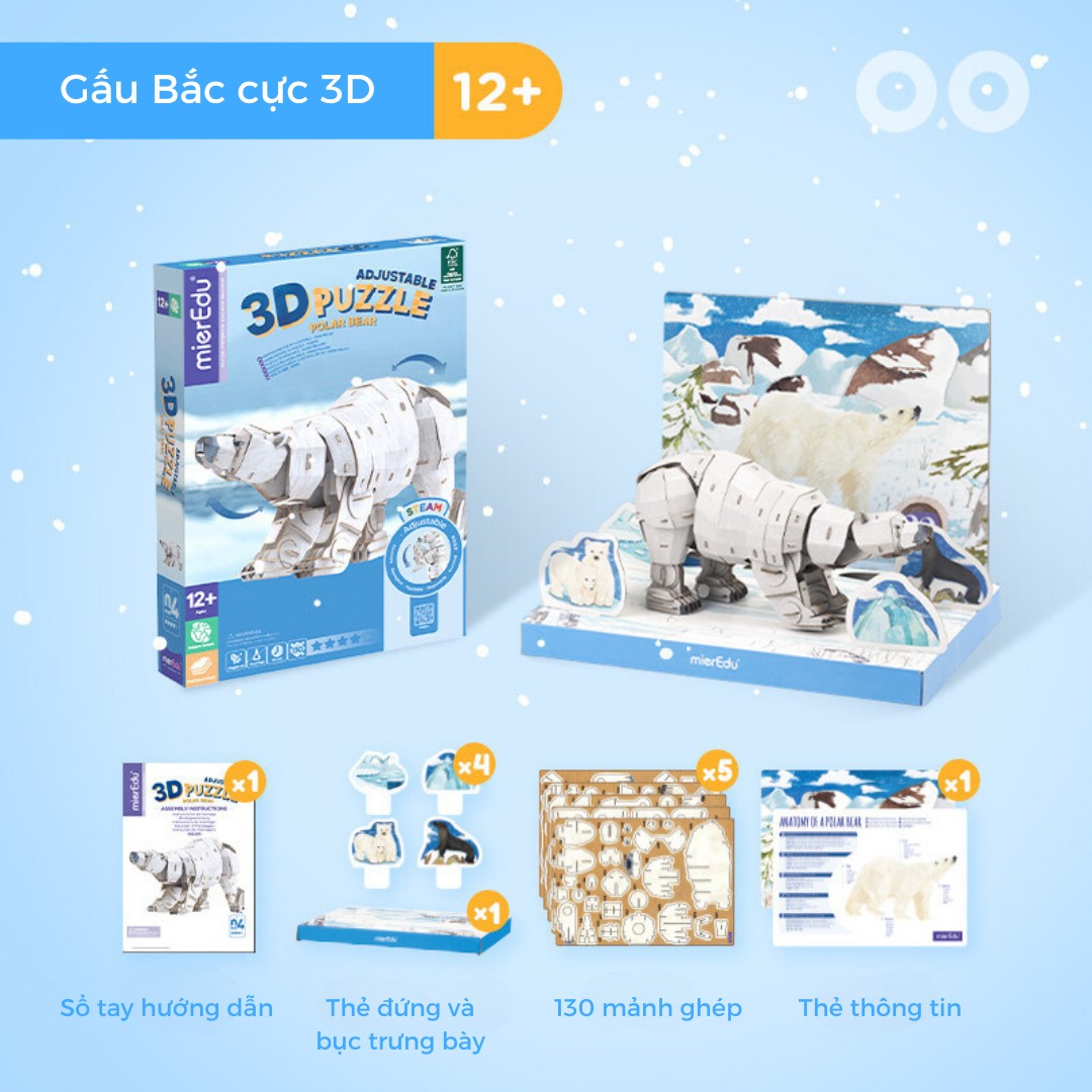 Bộ lắp ghép 3D chi tiết mierEdu - Phiên bản đặc biệt