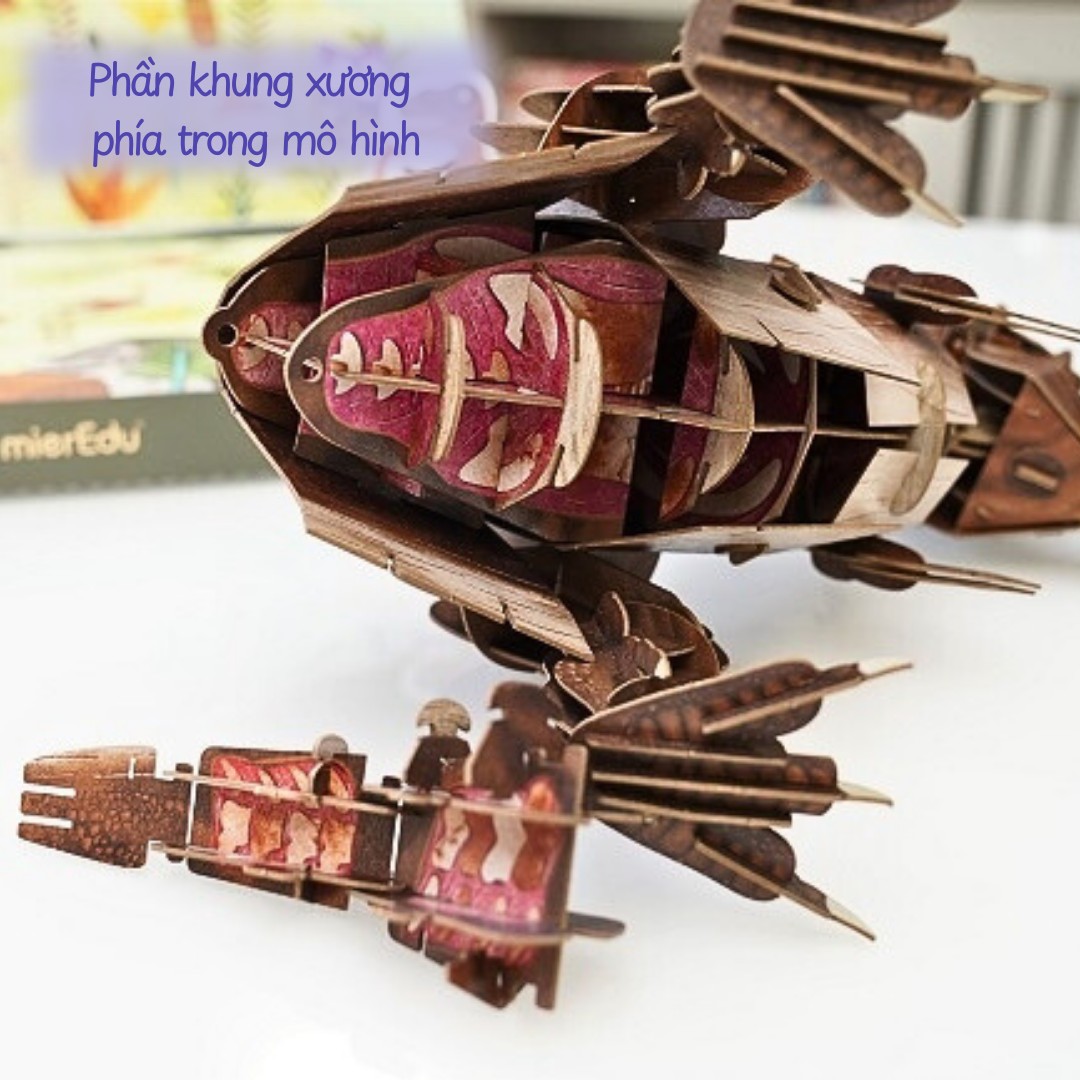 Bộ lắp ráp mô hình 3D chi tiết mierEdu - Thế giới khủng long