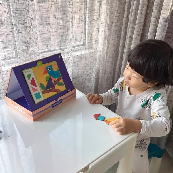 Bộ đồ chơi lắp ráp thông minh – Tangram Cấp độ cơ bản (1 người chơi)