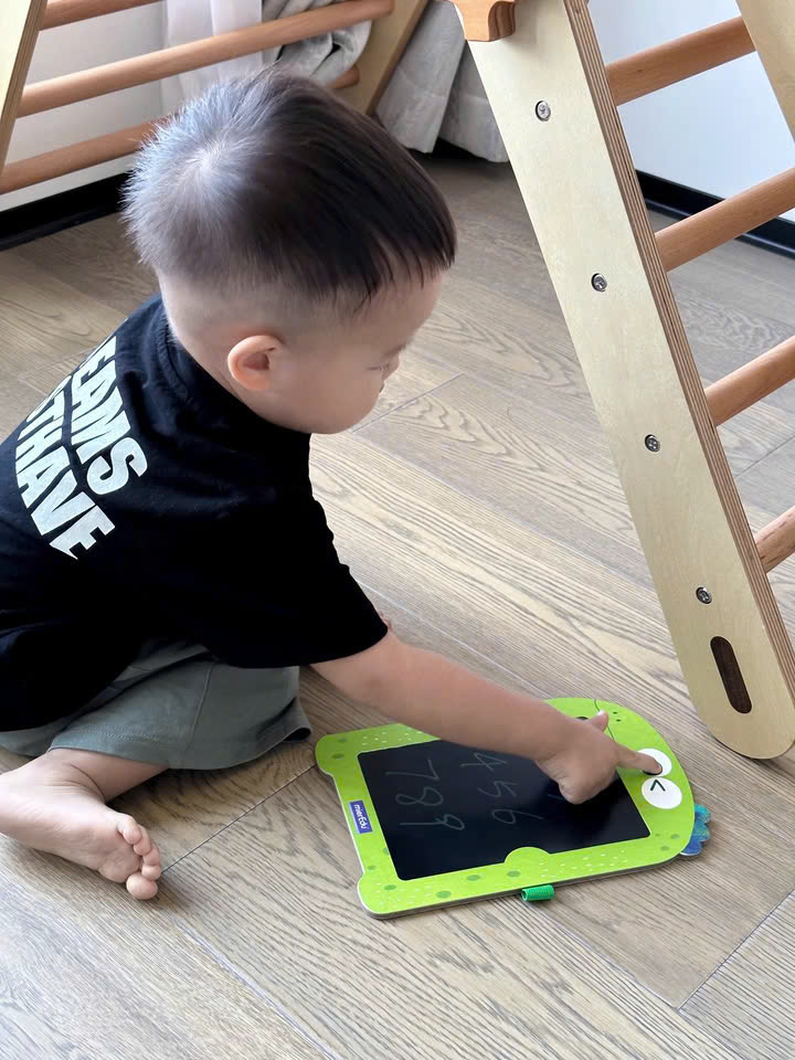 Bảng vẽ xóa LCD_Khủng long