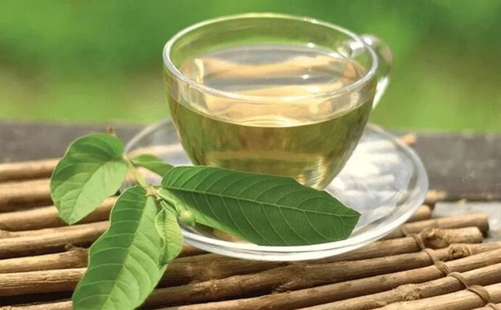 Điều Gì Xảy Ra Với Cơ Thể Khi Uống Nước Lá Ổi Mỗi Ngày?