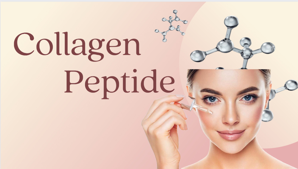 Collagen Peptide là gì?