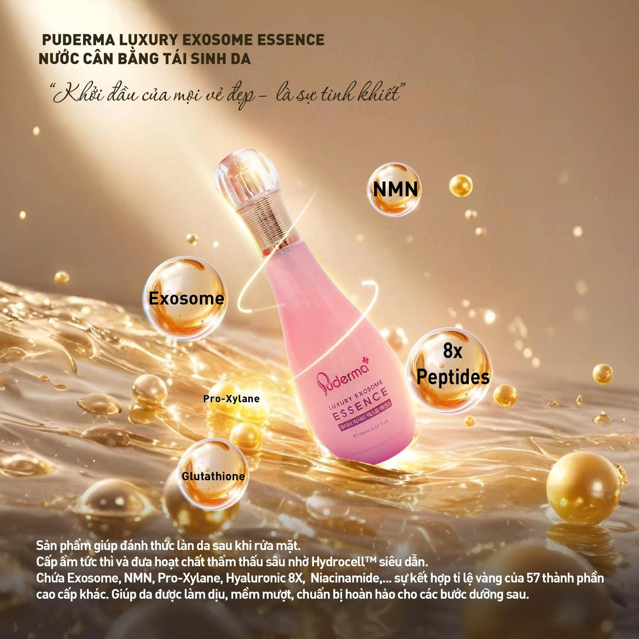 Toner Luxury Puderma Có Tốt Không? Giải Pháp Cấp Ẩm Và Cân Bằng Da Được Nhiều Người Quan Tâm