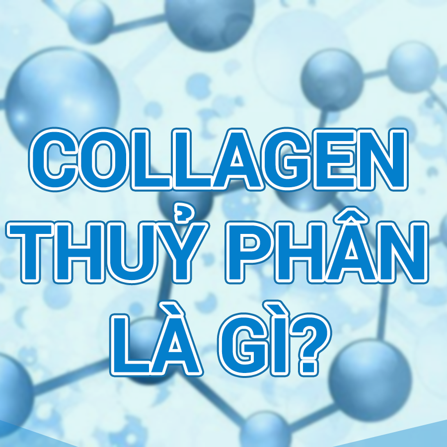 Collagen thủy phân là gì?