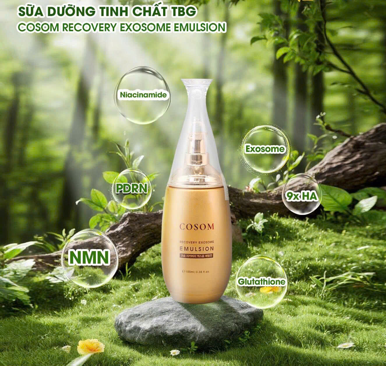 Chăm da không chỉ là serum – phục hồi mới là nền tảng giúp da khỏe lâu dài