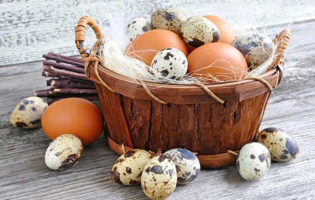 Công dụng của 4 loại trứng: Trứng gà, trứng vịt, trứng ngỗng và trứng cút – Loại nào bổ dưỡng nhất?