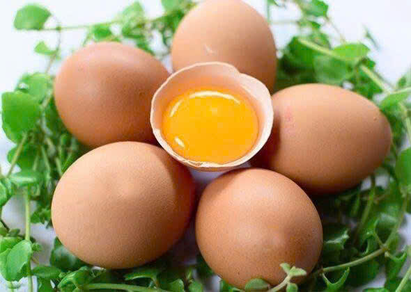 6 Không Khi Ăn Trứng – Nguyên Tắc Vàng Để Bảo Vệ Sức Khỏe
