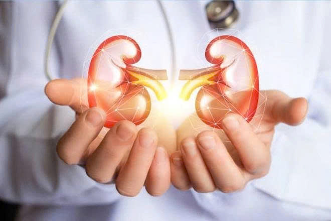7 loại đồ uống giúp hỗ trợ bảo vệ thận hiệu quả mỗi ngày