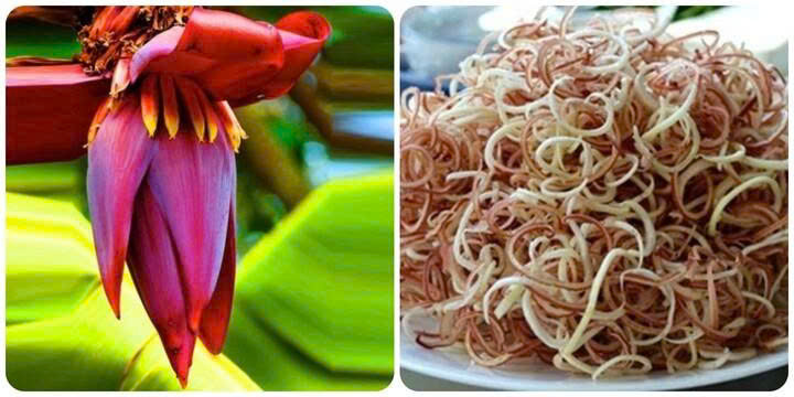 Ăn Hoa Chuối Có Tác Dụng Gì? Điều Gì Xảy Ra Khi Bạn Ăn Hoa Chuối?