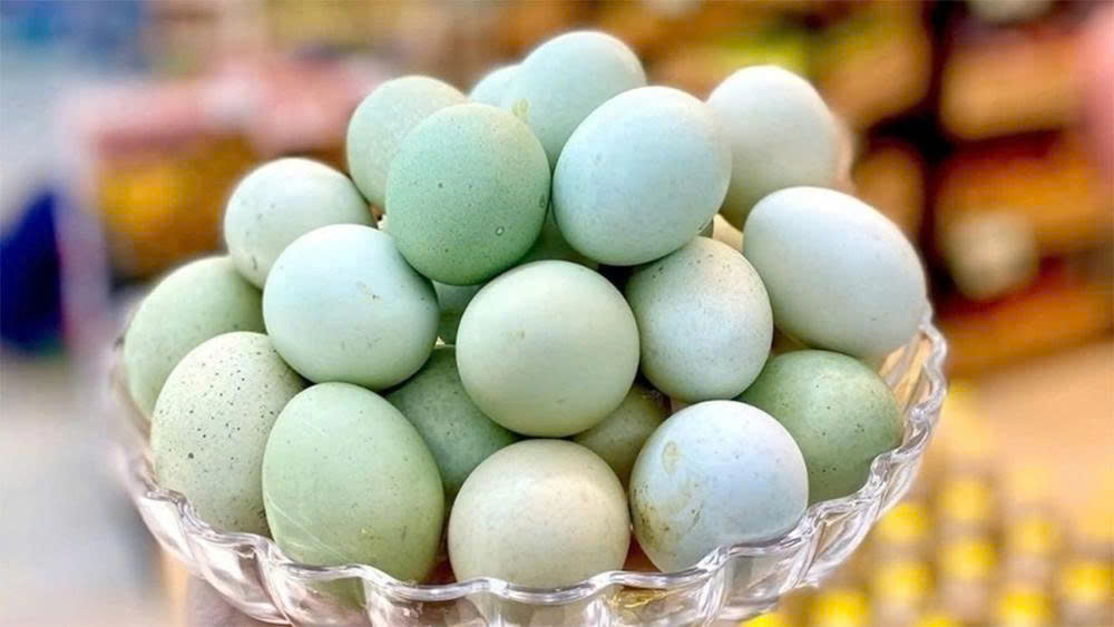 Trứng Gà Vỏ Xanh Có Bổ Dưỡng Hơn Trứng Gà Vỏ Nâu, Trắng Không?