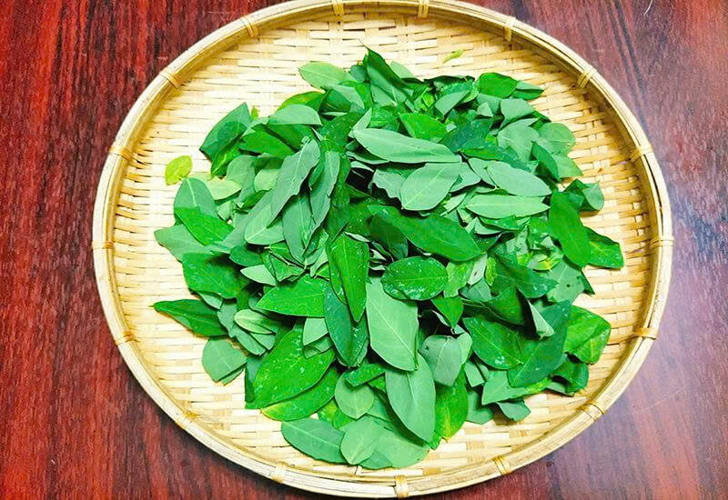 Có Nên Xào Rau Ngót Khi Nấu? Cách Nấu Rau Ngót Đúng Cách Để Giữ Trọn Dinh Dưỡng