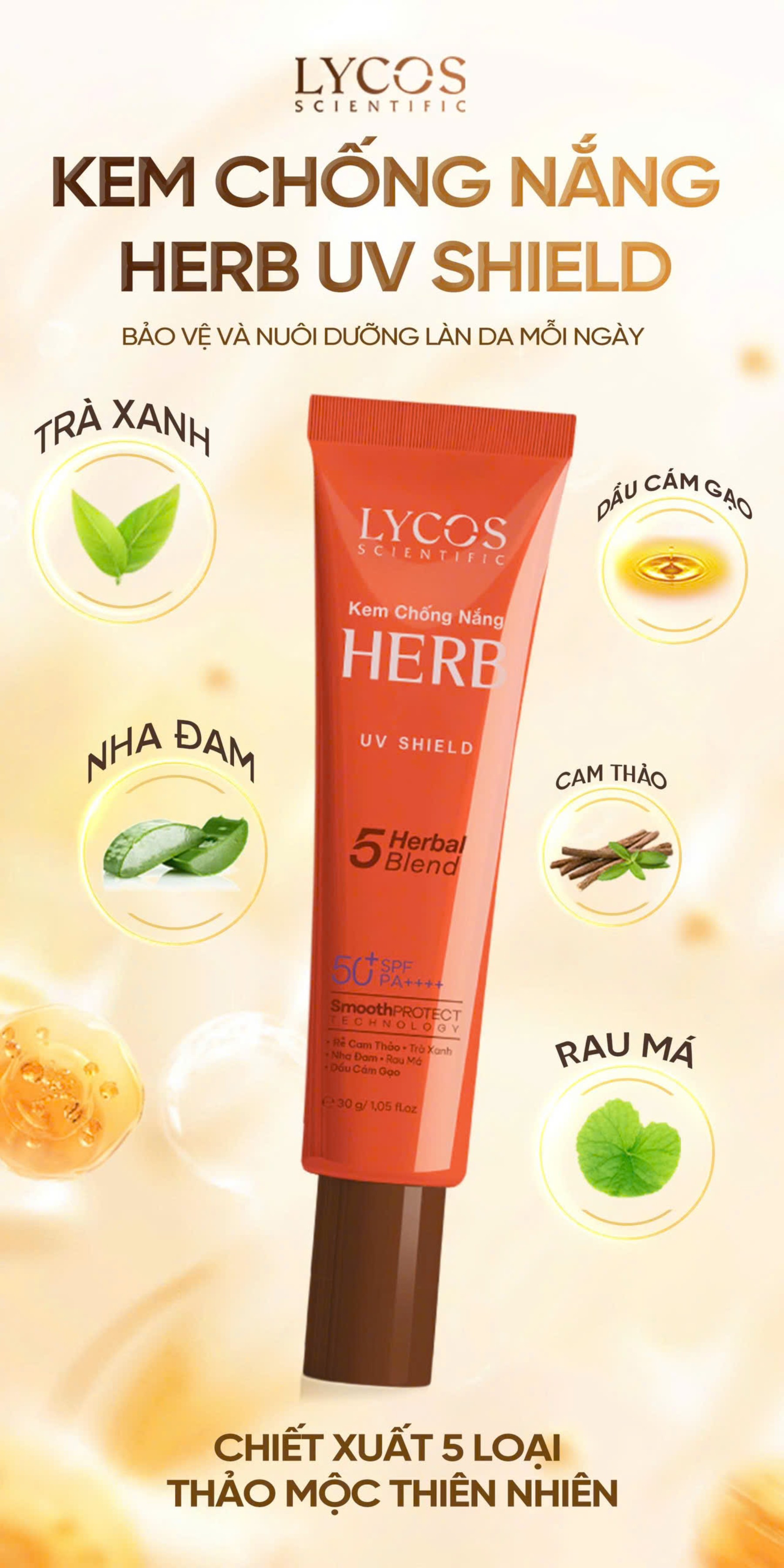 Kem Chống Nắng Kiểm Soát Dầu Lycos Berb UV Shield SPF 50+ PA ++++ kiểm soát bóng nhờn hiệu quả