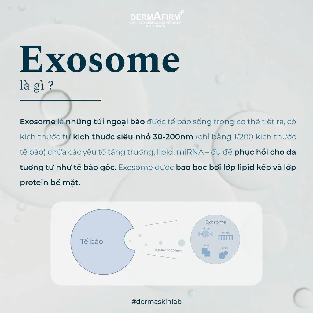 Viên Uống NMN Exosome 40500 Plus Jeil Royal – Tái Tạo Tế Bào Gốc, Trẻ Hóa, Mờ Nám, Chống Lão Hóa