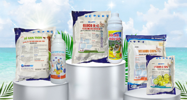 banner_coll_1_3_title