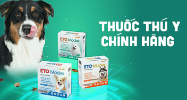 Đồng hồ thông minh