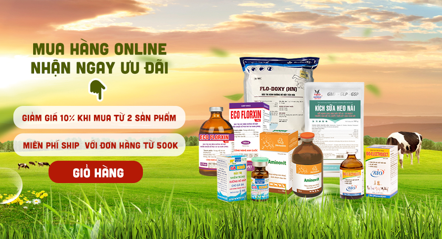 Sản phẩm nổi bật