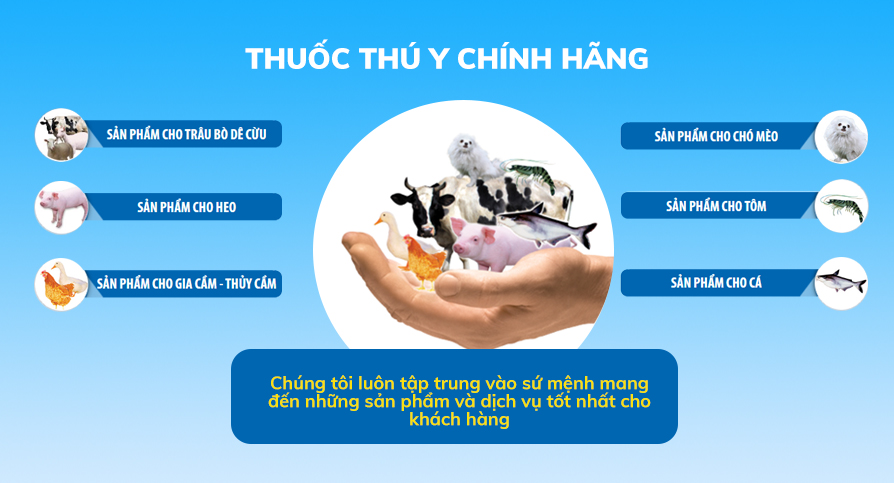 Khuyến mãi lớn chào xuân