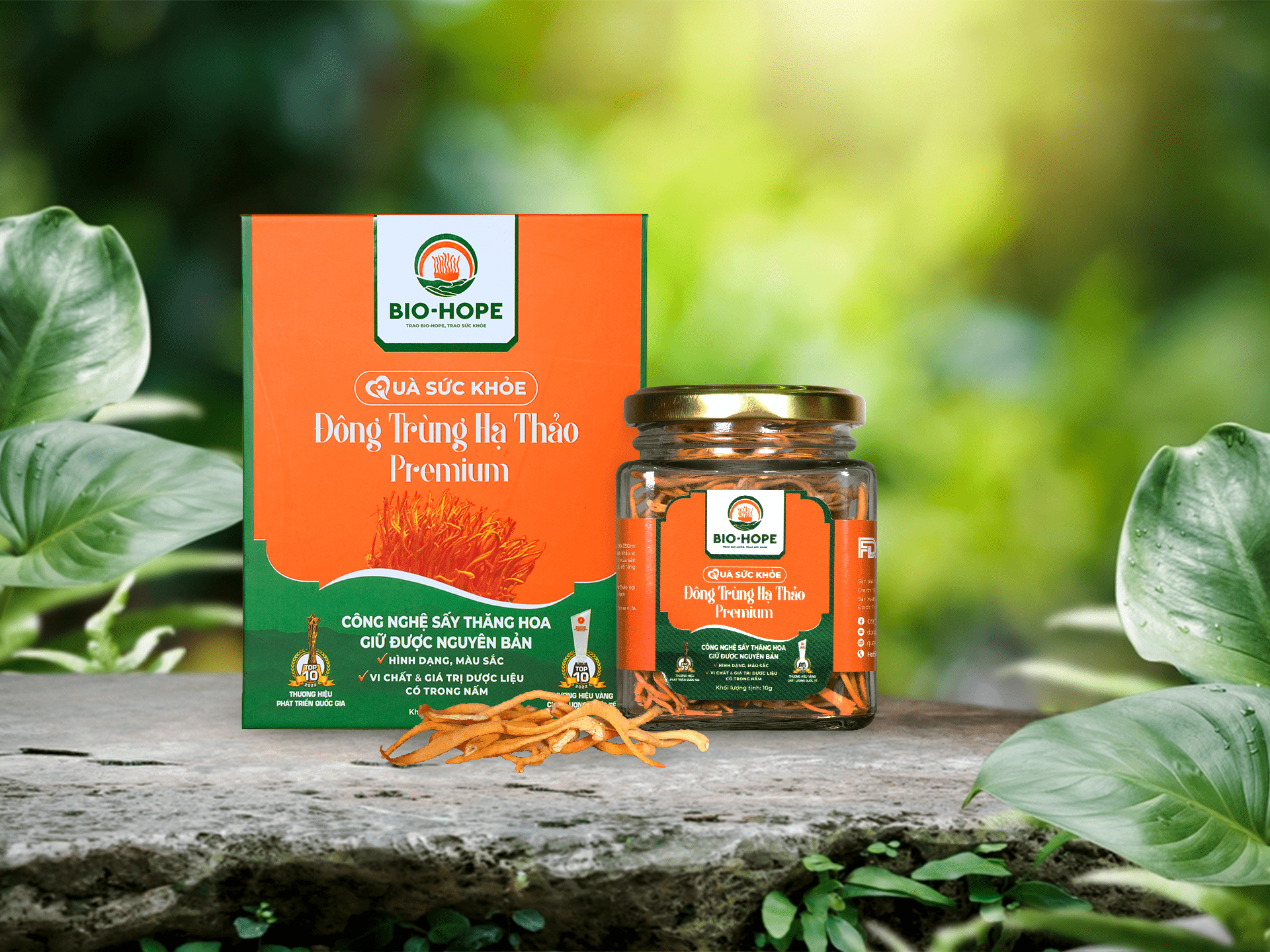 Các Chất Có Trong Đông Trùng Hạ Thảo