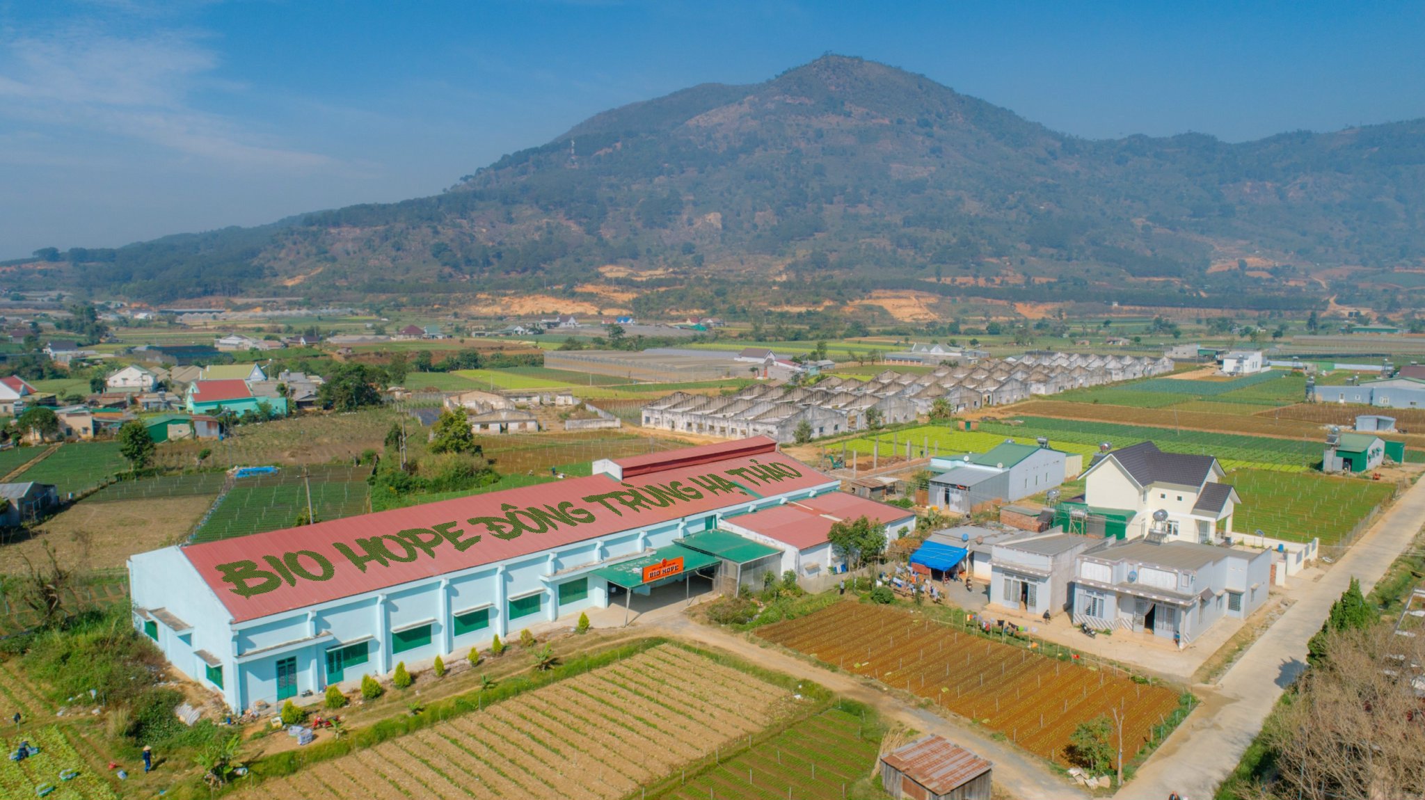 CHẤT LƯỢNG ĐÔNG TRÙNG HẠ THẢO BIO-HOPE ĐẾN TỪ ĐÂU?