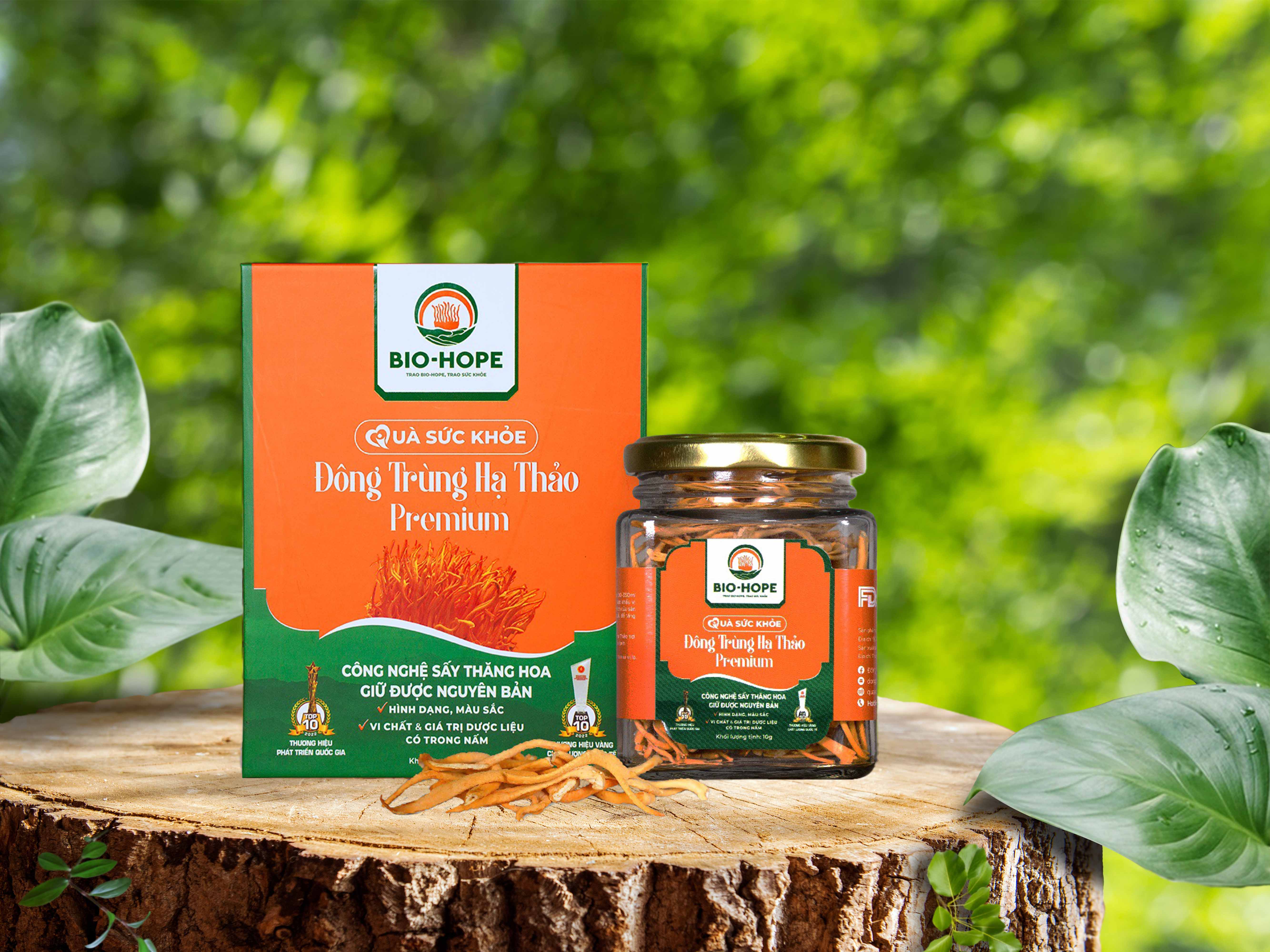 Đông Trùng Hạ Thảo Premium (Hộp 10g)