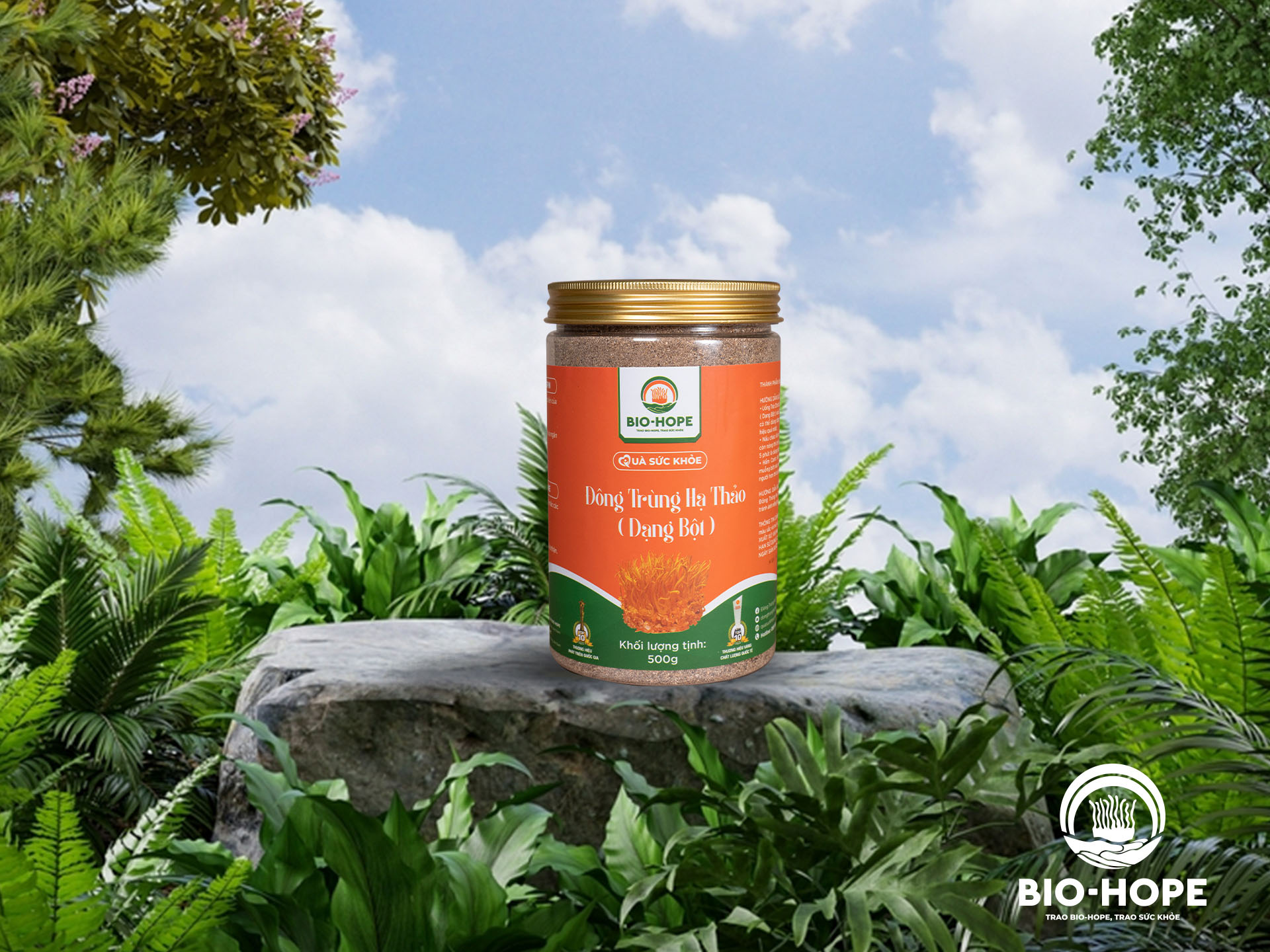 Bột Đông Trùng Hạ Thảo (Hộp 500gr)