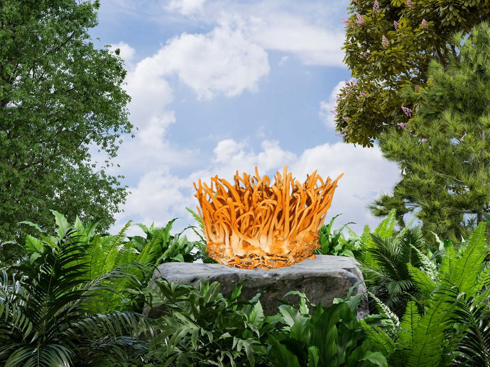 Đông Trùng Hạ Thảo Nấm Tươi 150g