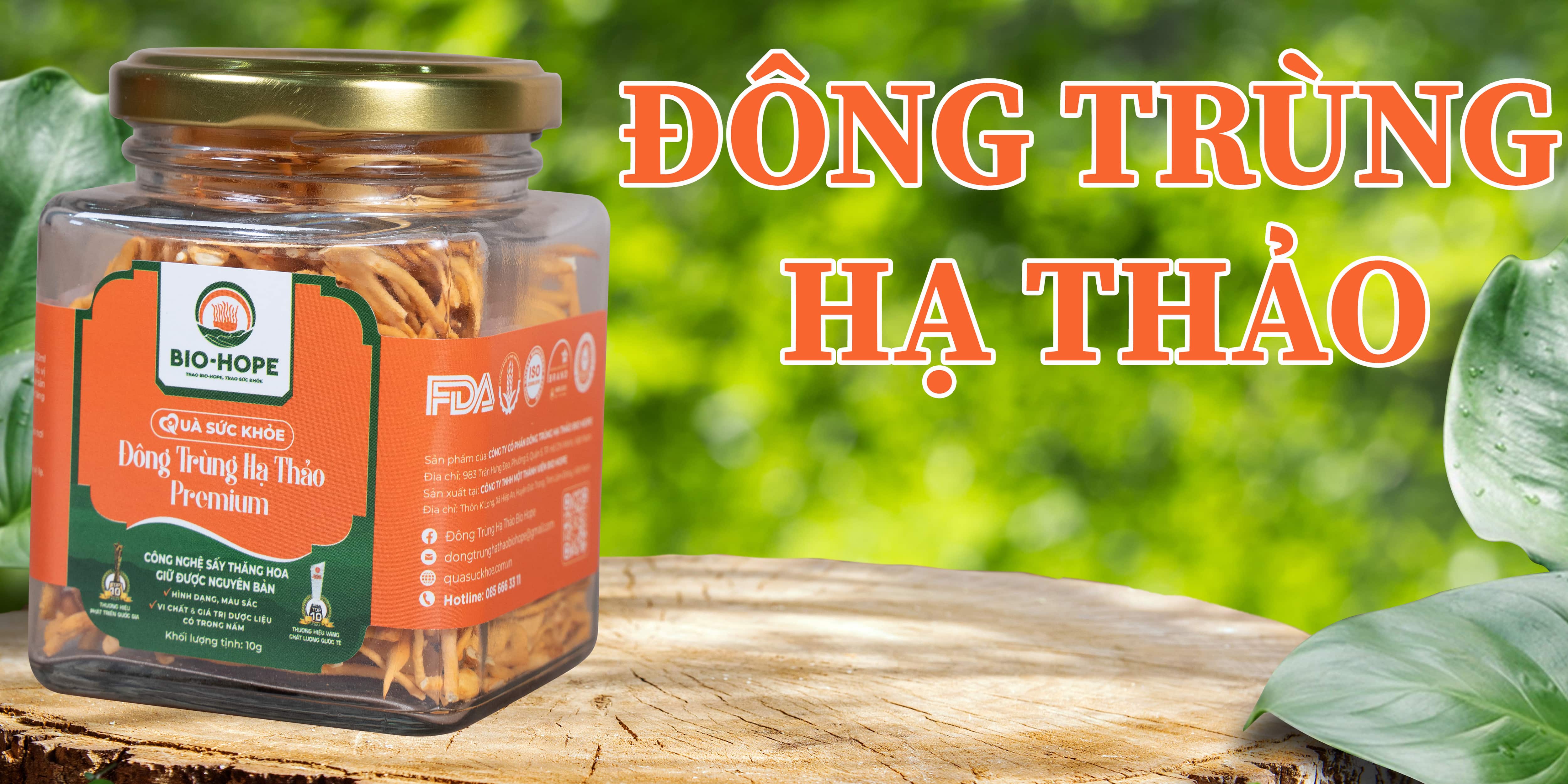 Đông Trùng Hạ Thảo