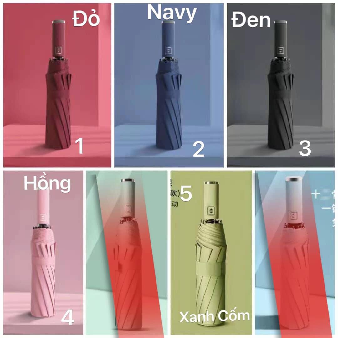 Ô Dù Tự Động Ajisai Nhật bản