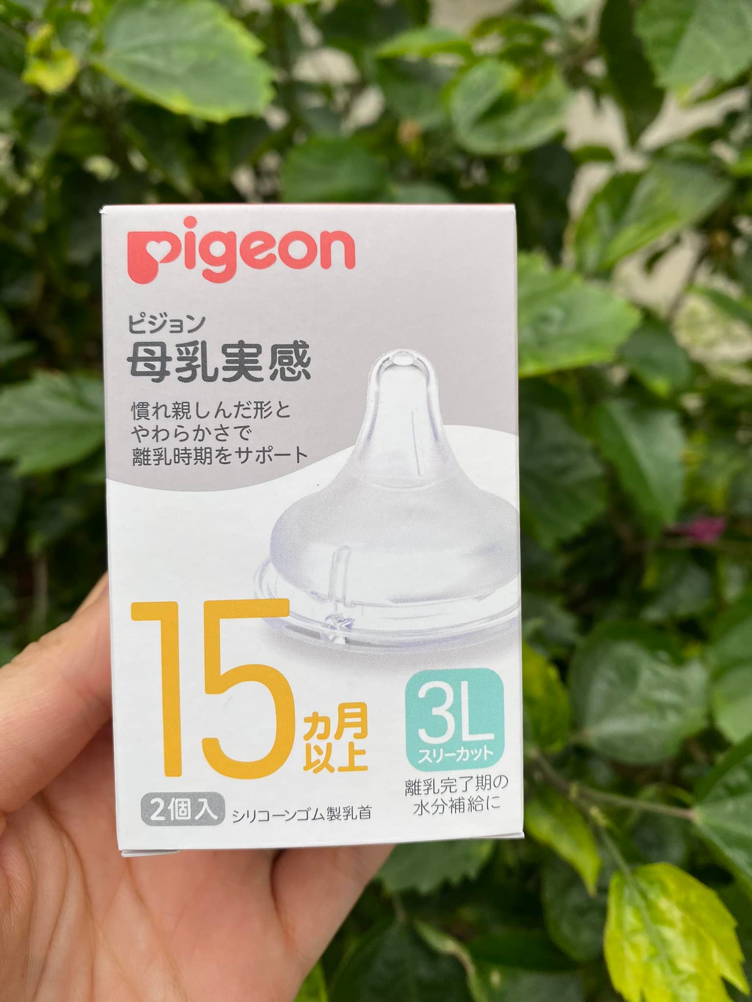 Núm Ti Pigeon Sét 2C