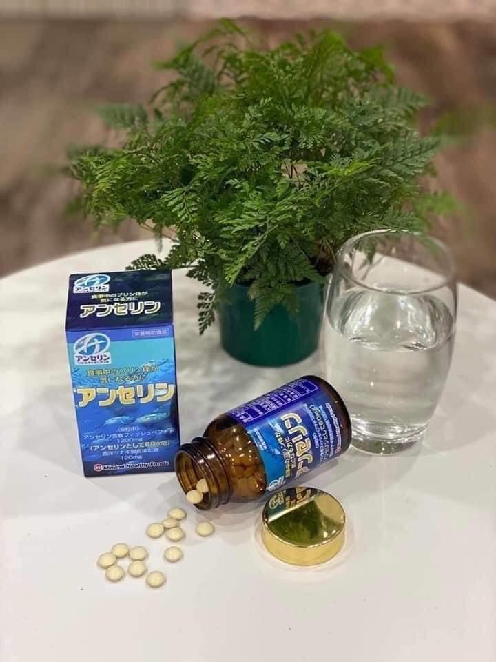 Viên Uống Điều Trị Gout 240 Viên