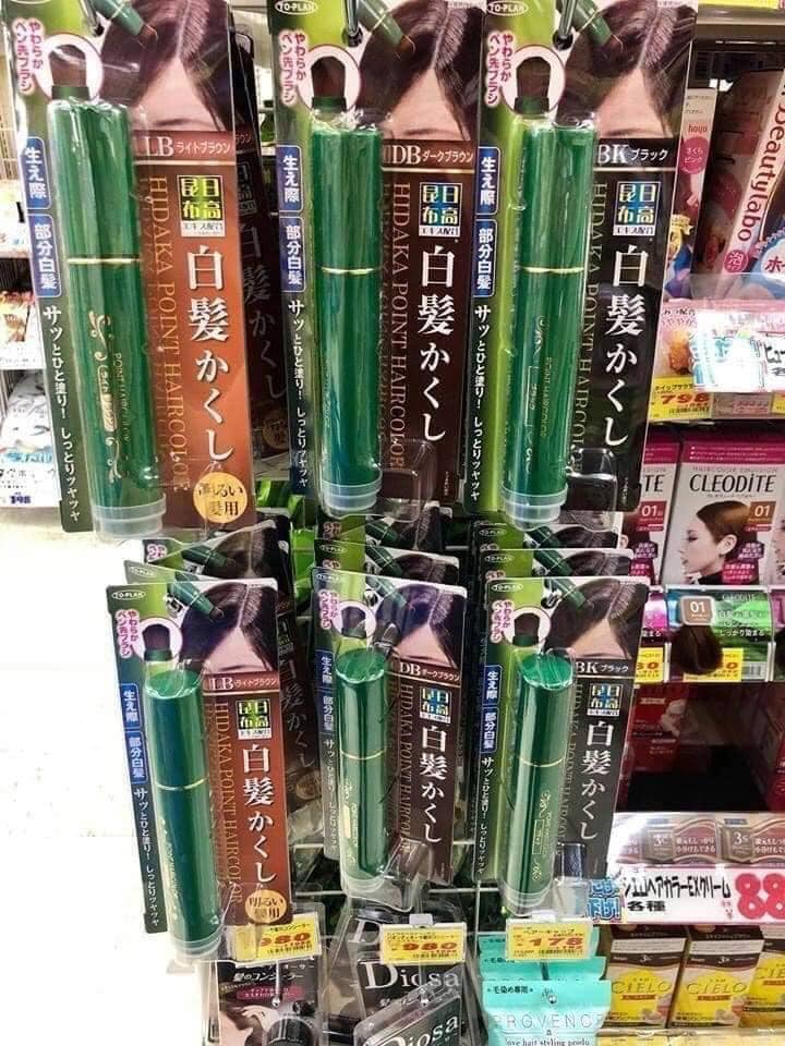 Bút Phủ Tóc Bạc Hidaka Khô