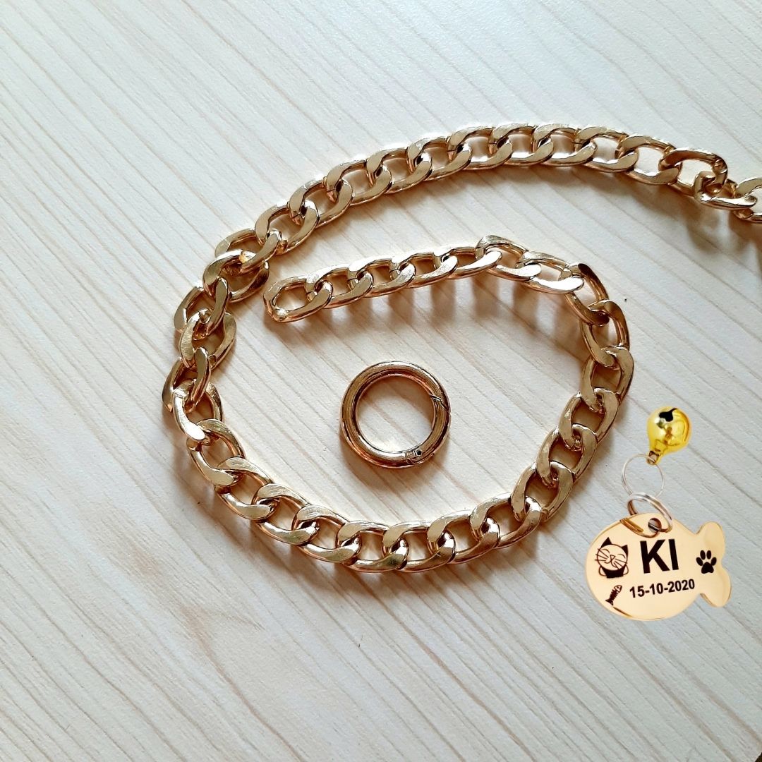 Mua Thẻ Khắc Tên Thú Cưng Ở Đâu?