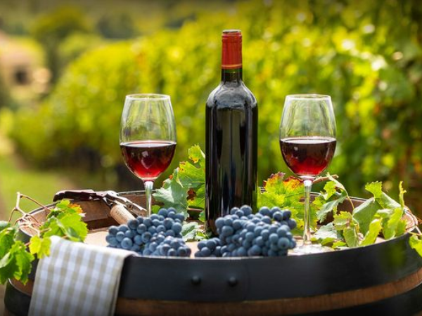 rượu vang làm từ nho Pinot Noir