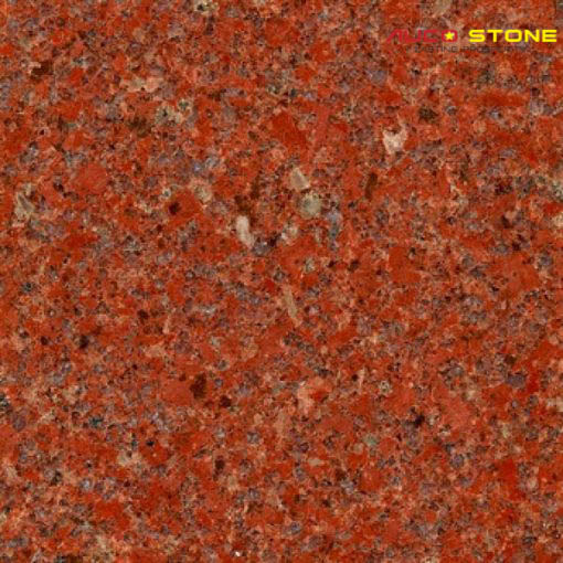 Đỏ Ruby Bình Định