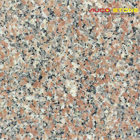 Hồng Gia Lai GL Pink