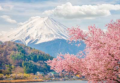 Du lịch Nhật Bản mùa hoa Anh Đào Osaka - Kyoto - Fuji - Tokyo từ Hà Nội giá tốt